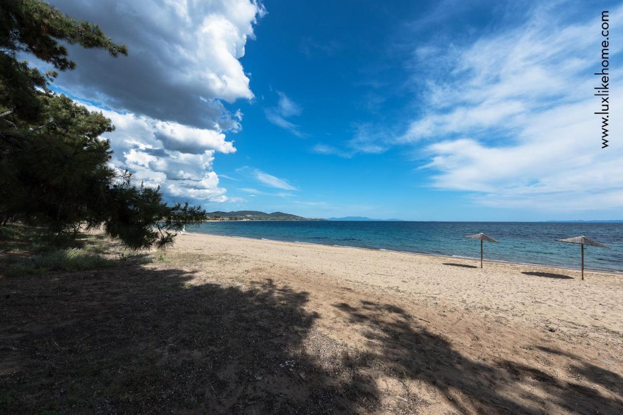 #Luxlikehome - Mediterranee Beachfront Summer House Kalyves Polygyrou Екстериор снимка